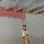 Sprayable Firestop Mastic for Joints