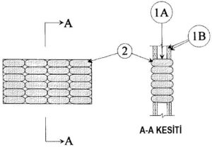 Alçıpan Duvar Yangın Durdurucu Yastık Detayı W-L-0004